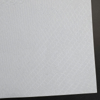 防複印紙<BR>A4 (100gsm)